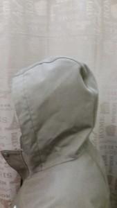 hood_before