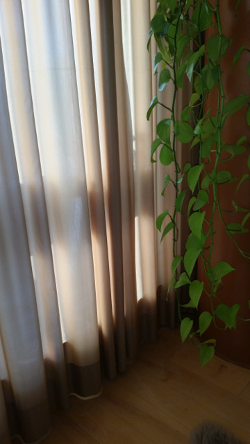 New Curtains or fixing the older ones?